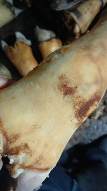 рыба жывая: Говяжьи копыта (передние/задние), обожжённые и очищенные. шыйрак бар — 1