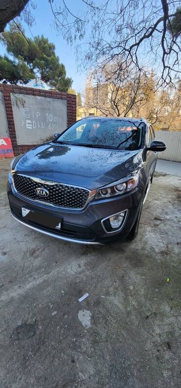 kia rio purjun: Kia Sorento: 2 l | 2014 il Universal