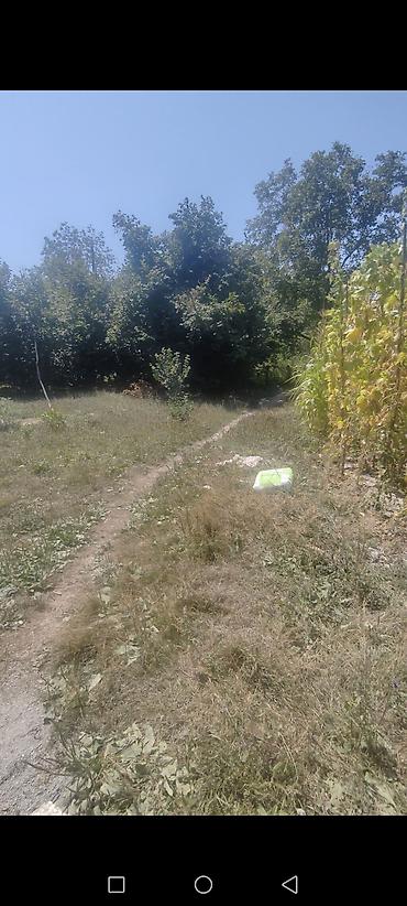 Torpaq sahələrinin satışı: 11 sot, Tikinti, Barter mümkündür, Kupça (Çıxarış) — 10