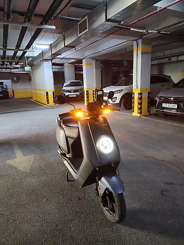 Mopedlər,skuterlər: NİU - NQI Sport, 2024 il, 7900 km — 7