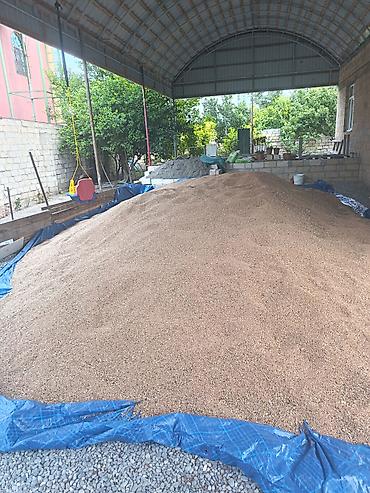 ucuz toyuq satisi: Salam 15 ton taxıldı satılır qiyməti 38 qəpik — 1