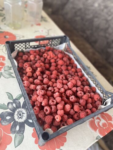 купить костюмы деда мороза и снегурочки: Малина В розницу, Самовывоз, Платная доставка