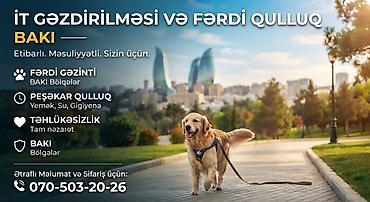 komputer dersleri: 🐕 İT GƏZDİRİLMƏSİ VƏ FƏRDİ QULLUQ — BAKI İş, dərs və ya digər — 1