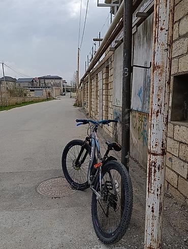 Dağ velosipedləri: Dağ velosipedi – APL Sport - Çərçivə: demir, müasir enduro/trekking — 5