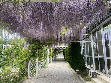 Иссык-Куль 2026: Коттедж, МУРАС ЦО Витязь, Чок-Тал, Детская площадка — 16