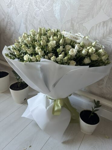 садовый вар бишкек: Букет из белых кустовых роз - 41 стебель - Длина стеблей: 55–60 см - lalafo.kg да садовый вар бишкек: Букет из белых кустовых роз - 41 стебель - Длина стеблей: 55–60 см -