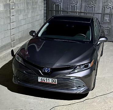 потолок камри 55: Toyota Camry: 2020 г., 2.5 л, Вариатор, Гибрид, Седан — 2