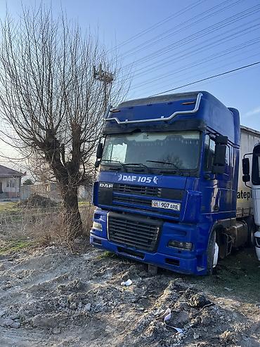 Тягачи: Тягач, DAF, 2003 г., Шторный — 1