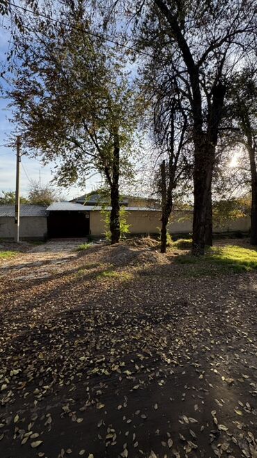 Продажа домов: Дом, 180 м², 7 комнат, Собственник, Косметический ремонт — 12