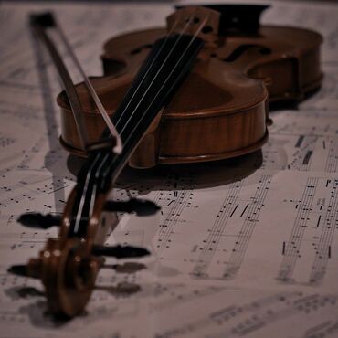 актерское мастерство бишкек: Уроки игры на скрипке | Офлайн, Индивидуальное, С выездом на дом