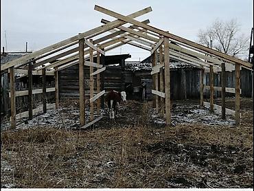семена мака: Беловодск, Сокулук, Полтовка, Карабалта ж.б 20-30-40-50-60-70 сотых — 1