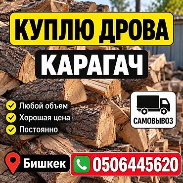 дрова карагач: Дрова Карагач — 1