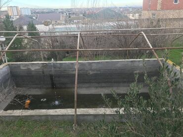 Torpaq sahələrinin satışı: 30 sot, Makler, Kupça (Çıxarış) — 15