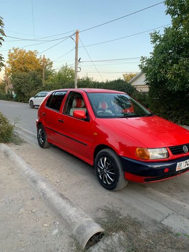 поло фольксваген: Volkswagen Polo хэтчбек, 5 дверей, красный цвет кузова. Компактный