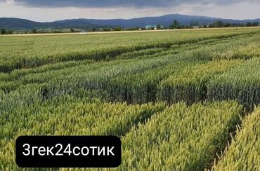 сдаю дом на долгий срок: 3 соток, Айыл чарба үчүн