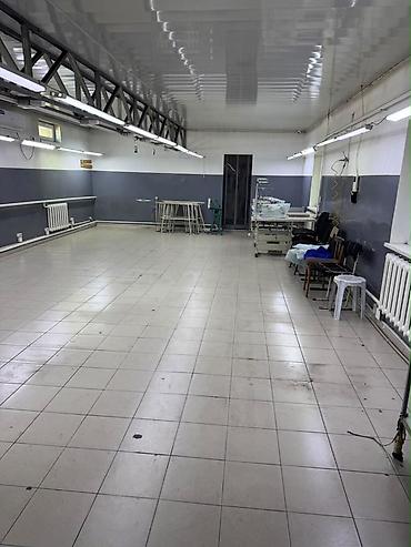 мой склад: 250 м², С отдельным входом, В частном доме — 7