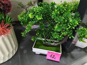 гул дасталар: Süni bonsai dekor ağacı - Material: yüksək keyfiyyətli plastik və — 1