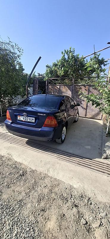 daewoo lanos 1: Toyota Corolla: 2006 г., 1.6 л, Автомат, Бензин, Седан — 2