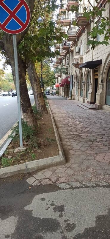 Restoran, kafelər: Yasamal rayonu Nizami metrosuna yaxın 175 kv.m sahəsi olan, 4otağlı -da lalafo.az — 9 Restoran, kafelər: Yasamal rayonu Nizami metrosuna yaxın 175 kv.m sahəsi olan, 4otağlı — 9