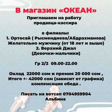 я ищу работу кассира: Вакансия: продавец-кассир в магазине «ОКЕАН» Локации филиалов: -