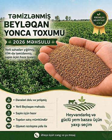 немецкий ламинат в баку: Məhsul: Təmizlənmiş Beyləqan yonca toxumu (2026 məhsulu) — 1