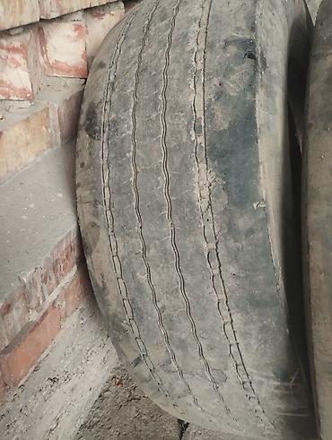 шина на ниве: Шины 315 / 70 / R 22,5, Лето, Б/у, Пара, Германия, Michelin — 7