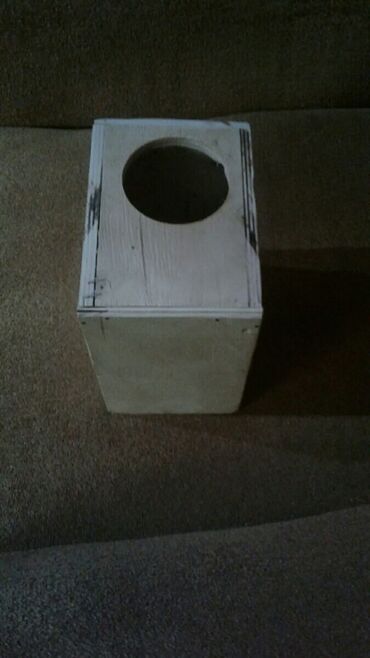 Heyvanlar üçün digər mallar: Shekilleri cevirin It ve pishikler ucun dirnaq tutan qayci tezedi — 13