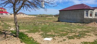 mehdiabad heyet evi: 36 sot, Kənd təsərrüfatı, Maklerlər narahat etməsin, Kupça (Çıxarış)