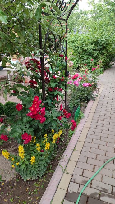 Продажа домов: Дача, 140 м², 5 комнат, Собственник — 10