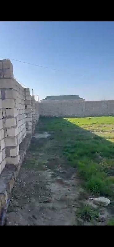 kirayə ev zabrat 1: 12 sot, Kənd təsərrüfatı, Kupça (Çıxarış) — 10