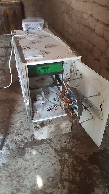 2 el kompresör: Salam. hərkəsə inqvator satılır 250 toyuq yumurtası tutur 3 dəfə özüm — 1