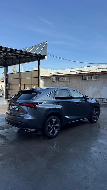 nd фильтр бишкек: Lexus NX: 2018 г., 2 л, Автомат, Бензин, Кроссовер — 4