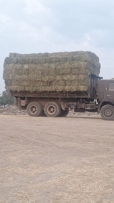 камаз сельхоз продажа бишкек: Жүк ташуучу унаа, Камаз