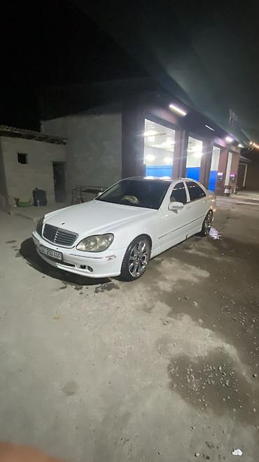 выхлоп w210: Mercedes-Benz S-Class: 2000 г., 5 л, Седан — 1