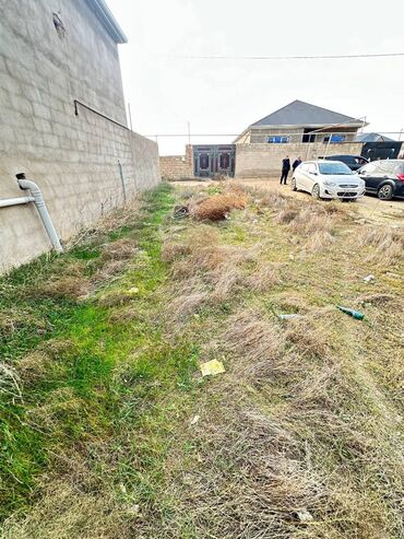 Torpaq sahələrinin satışı: 6 sot, Kənd təsərrüfatı, Makler, Kupça (Çıxarış), Texniki pasport -da lalafo.az — 2 Torpaq sahələrinin satışı: 6 sot, Kənd təsərrüfatı, Makler, Kupça (Çıxarış), Texniki pasport — 2