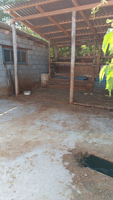 Продажа домов: Дом, 85 м², 6 комнат, Собственник — 9