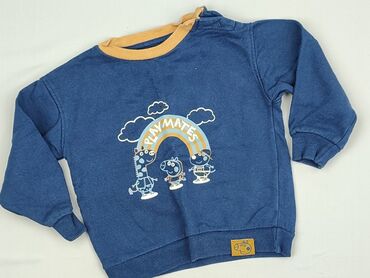 koszula basic: Sweatshirt, Fox&Bunny, 9-12 months, condition - Perfect