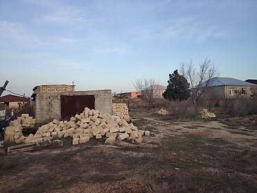 saray torpag: 12 sot, Mülkiyyətçi — 5