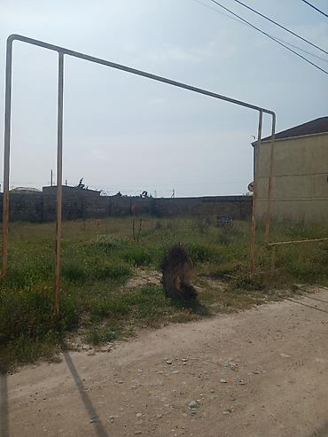bagi: 6 sot, Tikinti, Mülkiyyətçi, Kupça (Çıxarış) — 8