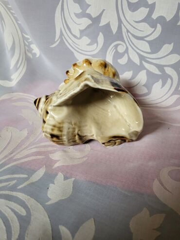 Ostalo posuđe: Pepeljara skoljka,rucni rad kineski porcelan 70,80te. Pepeljara — 14