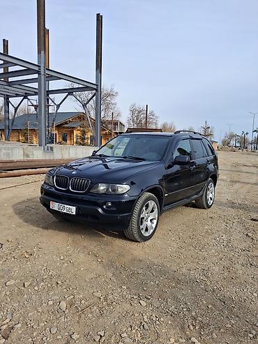 BMW: BMW X5: 2004 г., 3 л, Автомат, Дизель, Кроссовер — 2