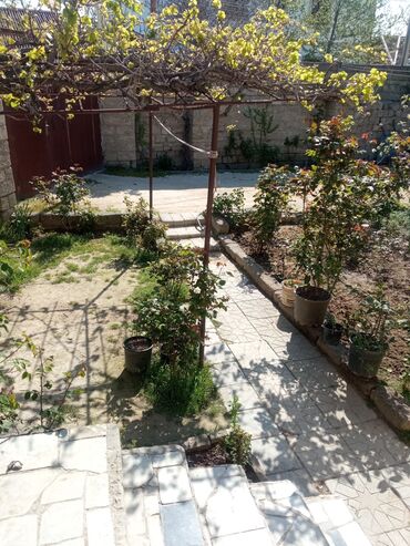 Otaqların uzunmüddətli kirayəsi: Satilr: geniş və işıqlı otaq.2 otaq 1 zal metbex hamam ayaq yolu — 19