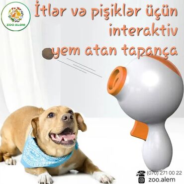 pişik ucun ev: Pişik və itlər üçün qeyri- adi, interaktiv oyuncaq yem tapançasına nə