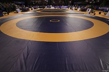 Другое для спорта и отдыха: Ковры маты даянги татами дзюдо борцовские ковры ринги гимнастические — 10