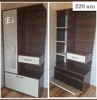asılqan qarmaq: Dəhliz üçün funksional giriş dolabı - Material: laminat/LDSP, iki — 1