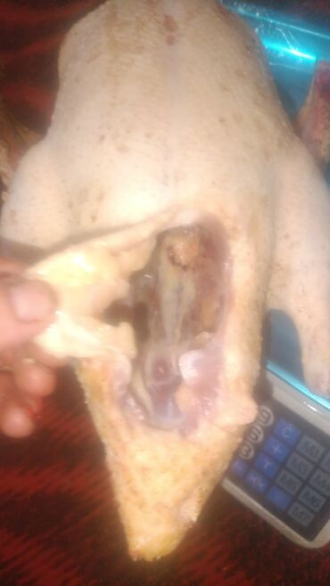 Мясо: 3 кг — 6