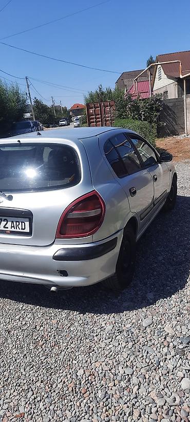 алмеро тино: Nissan Almera: 2000 г., 2.2 л, Механика, Дизель, Хэтчбэк — 1