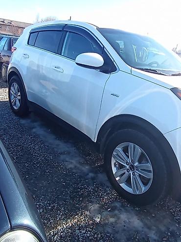 Kia: Kia Sportage: 2018 г., 2.4 л, Автомат, Бензин, Кроссовер — 7