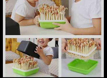 Другие товары для кухни: Лотки для проращивания:
маленький черный 300с
большой прозрачный 400с — 5