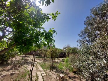 Bağ evlərinin satışı: Bakı, 150 kv. m, 7 otaqlı, İnternet, Telefon, Su — 3